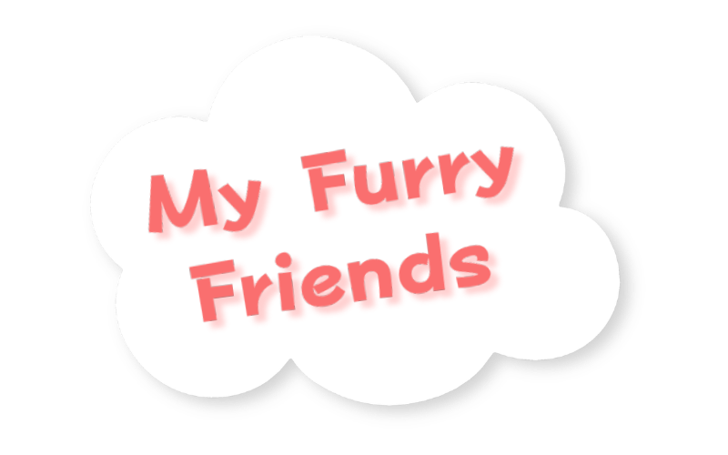 My Furry Friends